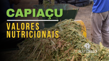 Valores Nutricionais do Capiaçu e suas Vantagens: Um Guia Completo