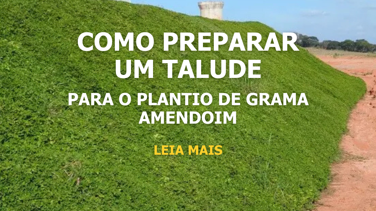 Como preparar um talude para o plantio de grama amendoim