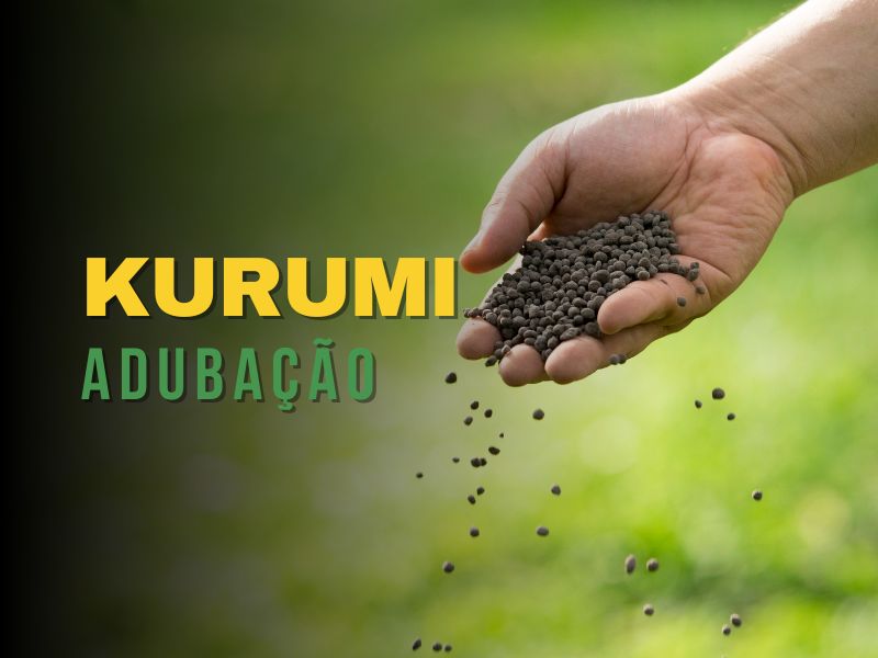 Kurumi – Segredo da Adubação