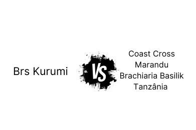 Kurumi Produtividade