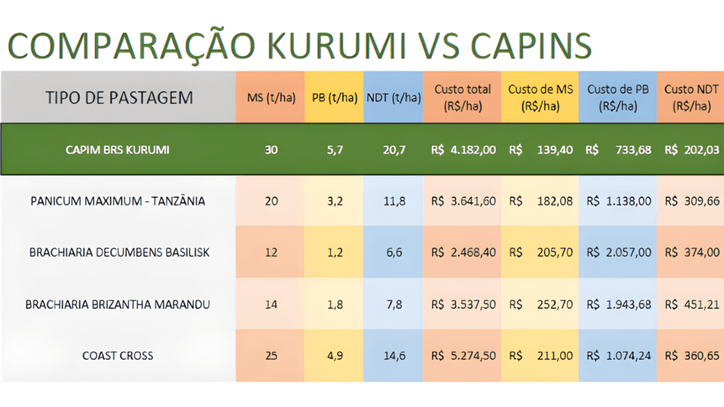 kurumi produtividade