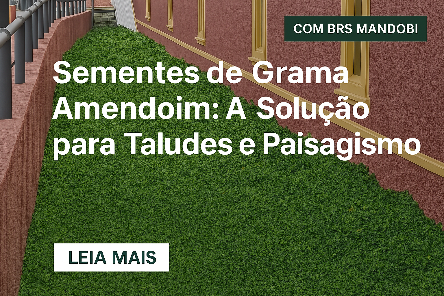 Sementes de Grama Amendoim: Solução Perfeita para Paisagismo, Taludes e Barrancos
